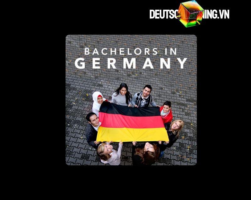 Bachelor (Cử nhân)